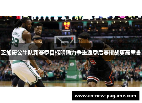 芝加哥公牛队新赛季目标明确力争重返季后赛挑战更高荣誉