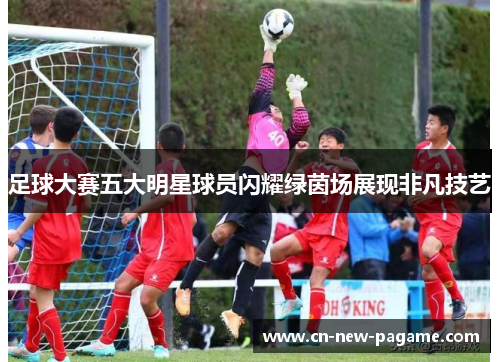 足球大赛五大明星球员闪耀绿茵场展现非凡技艺