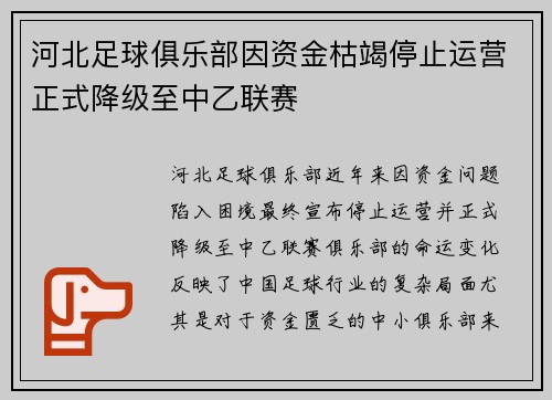 河北足球俱乐部因资金枯竭停止运营正式降级至中乙联赛